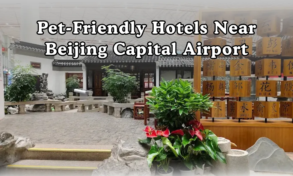 Pet Friendly Hotels Near Beijing Capital International Airport